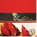 Peri-Peri: The Contrasts & Contradictions of the African Bird's Eye Chilli