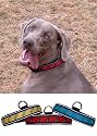 Green Shamrocks Illuminated Dog Collar - Medium Size