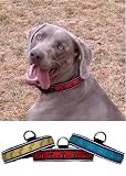 Eigenschaften Polybite Ltd.  / Design-Hundehalsband rot gross