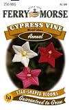 Ferry-Morse 1948 Cypress Vine Seeds, Mixed Colors (750 Milligram Packet)