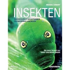 Insekten: Eindrucksvolle Nahaufnahmen faszinierender Lebewesen