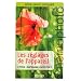 Les r�glages de l'appareil.Vitesse-Diaphragme-Exposition.