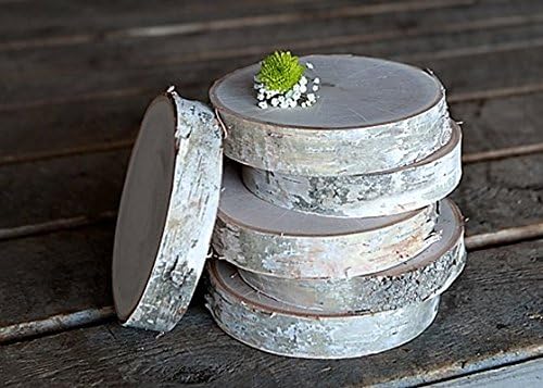 BIRCH ROUNDS - 2" THICK (10" -12" dia. 2" thick 1 pcs.)