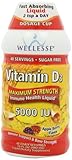 Wellesse Vitamin D3 5000 IU Liquid, Apple Berry, 16 Fluid Ounce