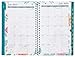 AT-A-GLANCE 2014–2015 Academic Year Weekly and Monthly Evelina Appointment Book, Wirebound, Teal, 4.88 x 8 Inch Page Size (801-200A)