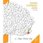 Beginning and Intermediate Algebra (Martin-Gay Hardback Series) by Elayn Martin-Gay