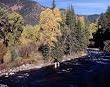 Trout Fishing in Colorado's Rushing Crystal River - Enticing 16x20 Photographic Print by Carol M. Highsmith