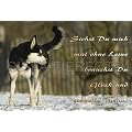 Metall-Warnschild Siberian, Sibirian Husky
