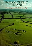Pagan Celtic Ireland: The Enigma of the Irish Iron Age