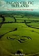 Pagan Celtic Ireland: The Enigma of the Irish Iron Age