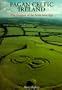 Pagan Celtic Ireland: The Enigma of the Irish Iron Age