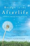 Bridge to the Afterlife: A Medium's Message of Hope and Healing