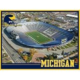 Michigan-The Big House Jigsaw Puzzle 550pc