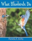 What Bluebirds Do