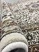 Traditional Oriental Cream Medallion Design 2' X 3' Area Rug