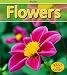 Book cover for 9781410934796