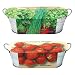 Buzzy Windowsill Garden Kit 2-pk.