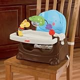 Fisher-Price Luv U Zoo Busy Baby Booster