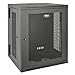 Tripp Lite 15U Wall Mount Rack Enclosure Server Cabinet, Hinged, 20.5