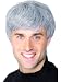 NEW MENS MODERN GUY CUT GREY WIG FANCY DRESS COSTUME