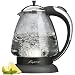 Capresso 259.03 H2O Plus Glass Water Kettle, Polished Chrome 
