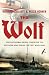 The Wolf: How One German Raider Terrorized The Southern Seas During The First World War
