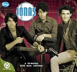 Jonas Brothers 2009 Wall Calendar