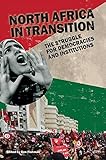 North Africa in transition : the struggle for democracies and institutions