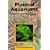 Planted Aquariums: Creation and Maintenance