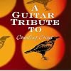 Tribute to Counting Crows