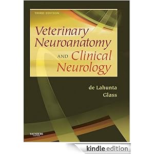comprehensive review in clinical neurology pdf download