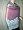Indian Cutwork Reversible Pashmina Jamawar Shawl Free Shipping Image #2