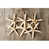 Hinterland Trading White Finger Starfish Ornaments 2" to 4" Set of 6 Stars of the Sea Christmas Ornament and Year Round Decorating