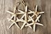 Hinterland Trading White Finger Starfish Ornaments 2