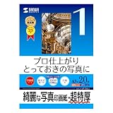 SANWA SUPPLY JP-EP1NA3 �C���N�W�F�b�g�ʐ^��掆�E������