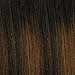 Outre Big Beautiful Hair Synthetic Lace Front Wig 4C-COILY #DR2730
