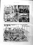 1886 Dufferin Burma William Peel Ship Hospital Diseases