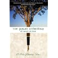 The Pagan Anthology of Short Fiction: 13 Prize Winning Tales by  Llewellyn