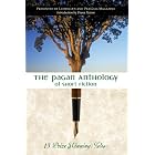 Click here to buy The Pagan Anthology of Short Fiction: 13 Prize Winning Tales by  Llewellyn.