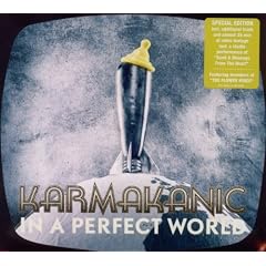 In a Perfect World (Special ed