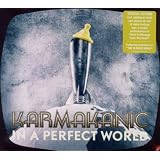 In a Perfect World (Special Edition)von "Karmakanic"