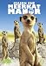 Meerkat Manor: Season One
