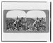 Historic Print (L): Plowing with a primitive native plow--how the Russian peasant til...