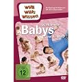 Willi will's wissen - Wie kommen die Babys auf die Welt