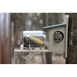 Bird's Choice Recycled Squirrel Jar Feeder