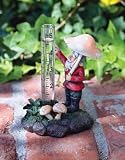 Garden Gnome Rain Gauge