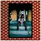 Best of  EMMYLOU HARRIS