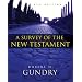 A Survey of the New Testament