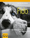 Fido: Das Glück hat Pfoten, das Chaos auch