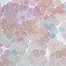 Sequin Flower 1